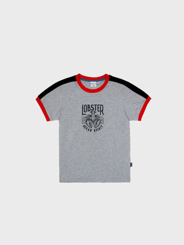 t-shirt gris marine rouge pour enfant ado garçon vêtement pour l'été manches courtes boutique saint martin en haut dans les monts du lyonnais