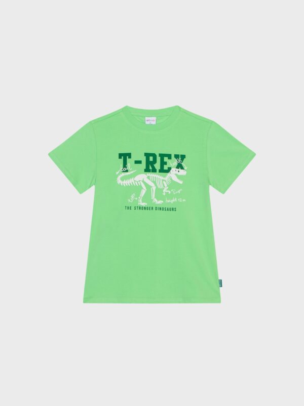 T-shirt vert motif T-REX, pour garçons et ados, boutique de vêtementspour enfants à Saint Martin en Haut, dans les Monts du Lyonnais