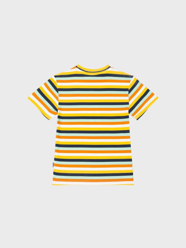 T-shirt rayé différentes couleurs, pour garçons et ados, boutique de vêtements pour enfants à Saint Martin en Haut dans les Monts du Lyonnais.