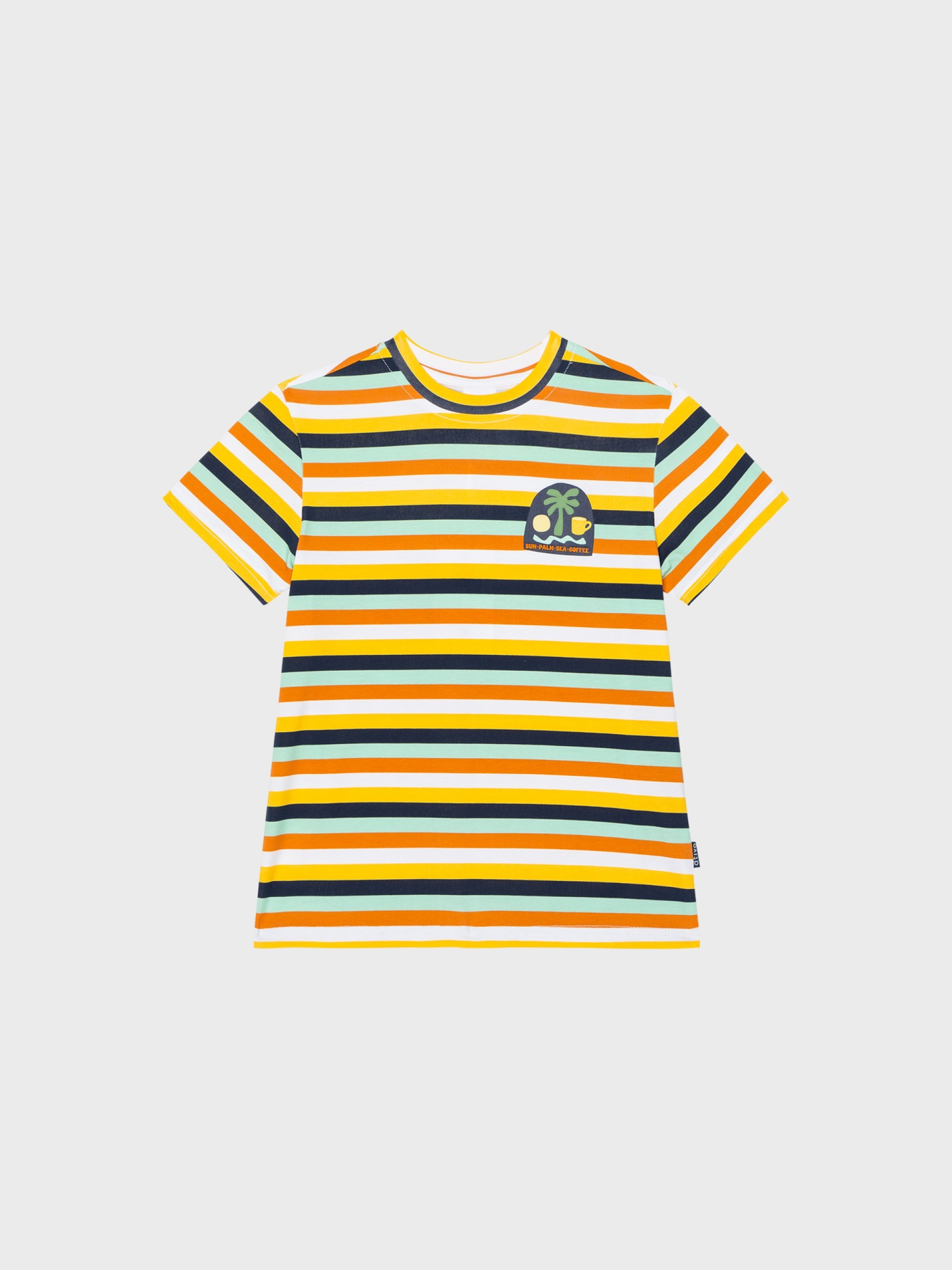 T-shirt rayé différentes couleurs, pour garçons et ados, boutique de vêtements pour enfants à Saint Martin en Haut dans les Monts du Lyonnais.