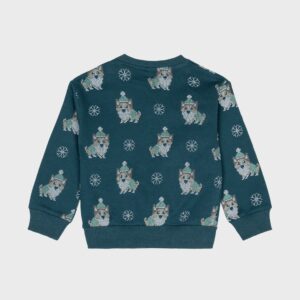 Sweat vert chiens et flocons
